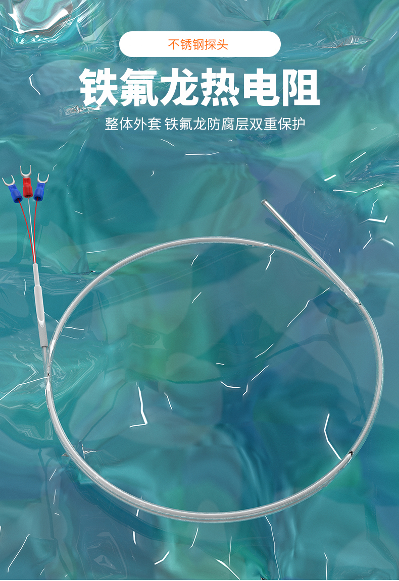 鐵氟龍熱電阻12_http://m.tcts.com.cn_溫度儀表_第4張